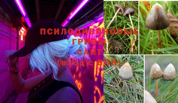 соль ск Белоозёрский