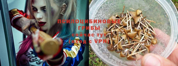 соль ск Белоозёрский